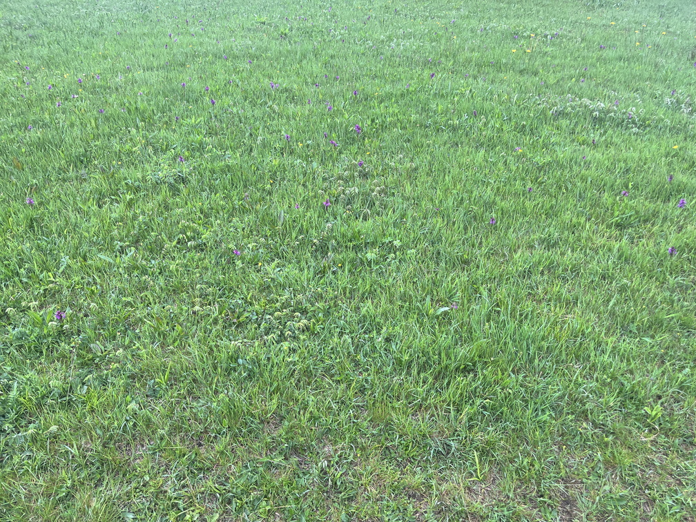 23-05-23 13-21-46 5598